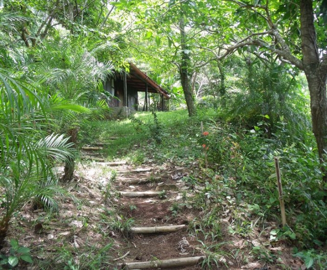 Abundante naturaleza